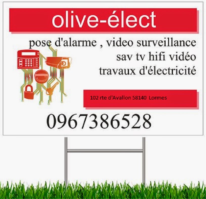 olive-elect — Photos 1